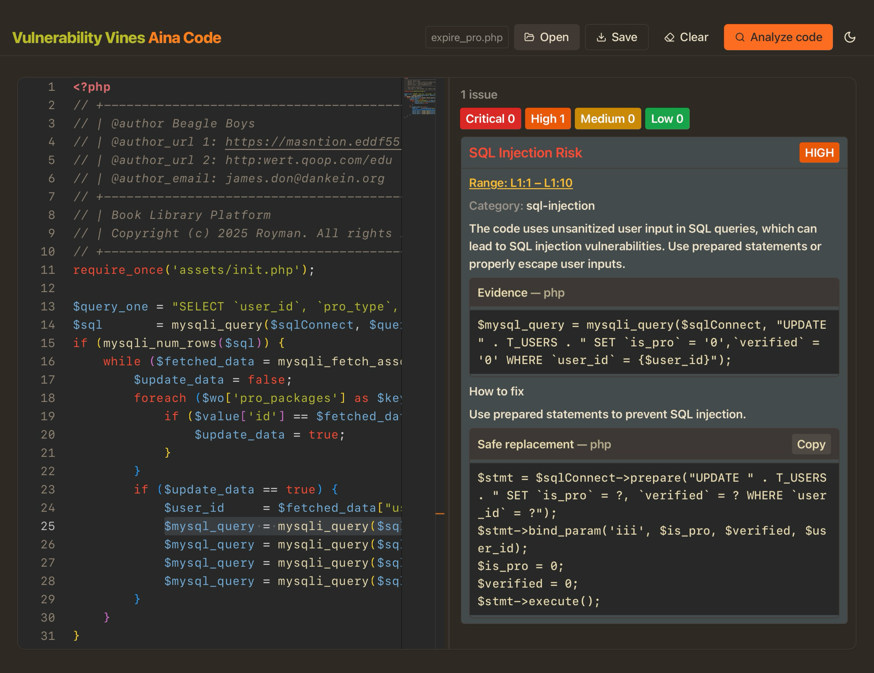 Vulnerability Vines AI — Aina Code analysis