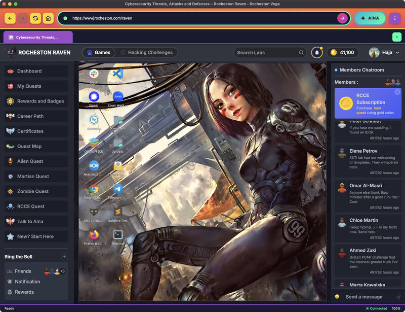RCCE Visual Labs in Rocheston Vega